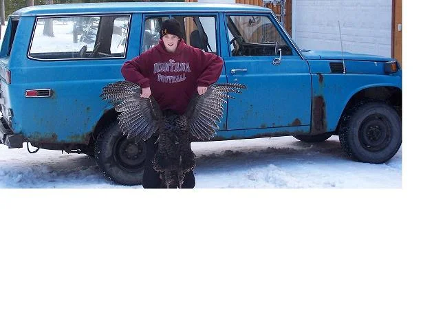 turkey2.webp