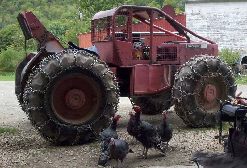 TurkeySkidder1.webp