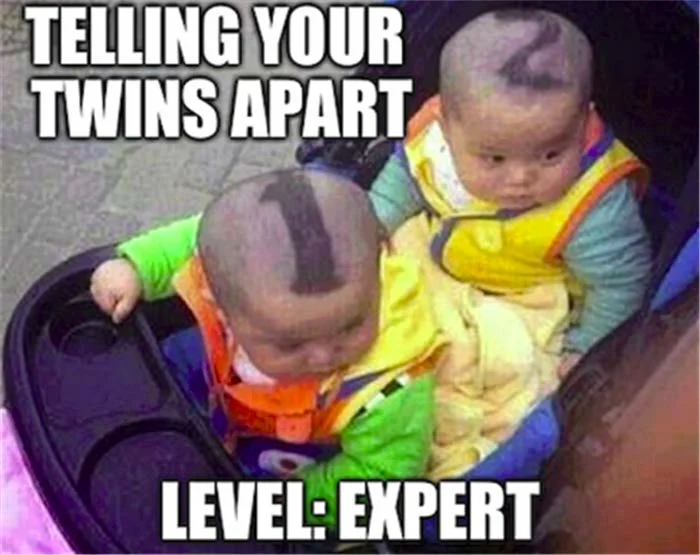 twins.webp