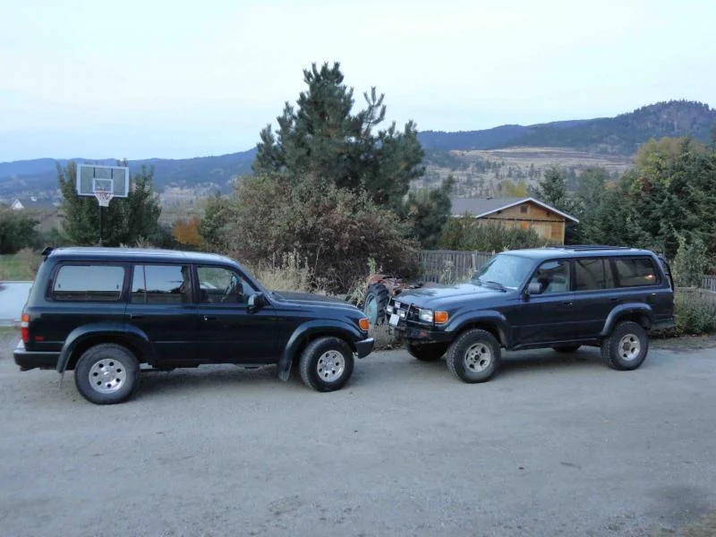 twins.webp