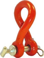 twstdclevis.webp