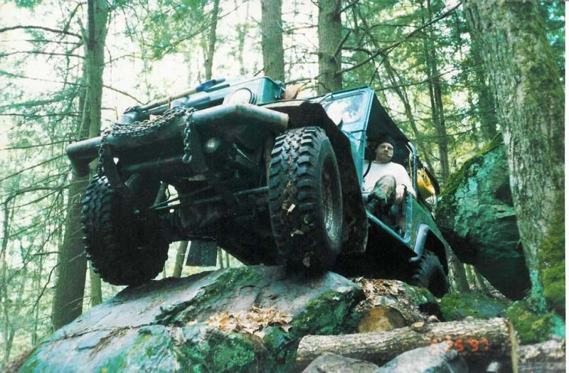 Tyke on rock2.webp