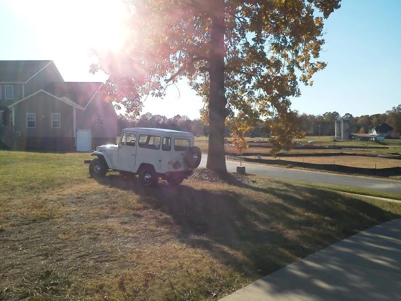 under the tree3.webp