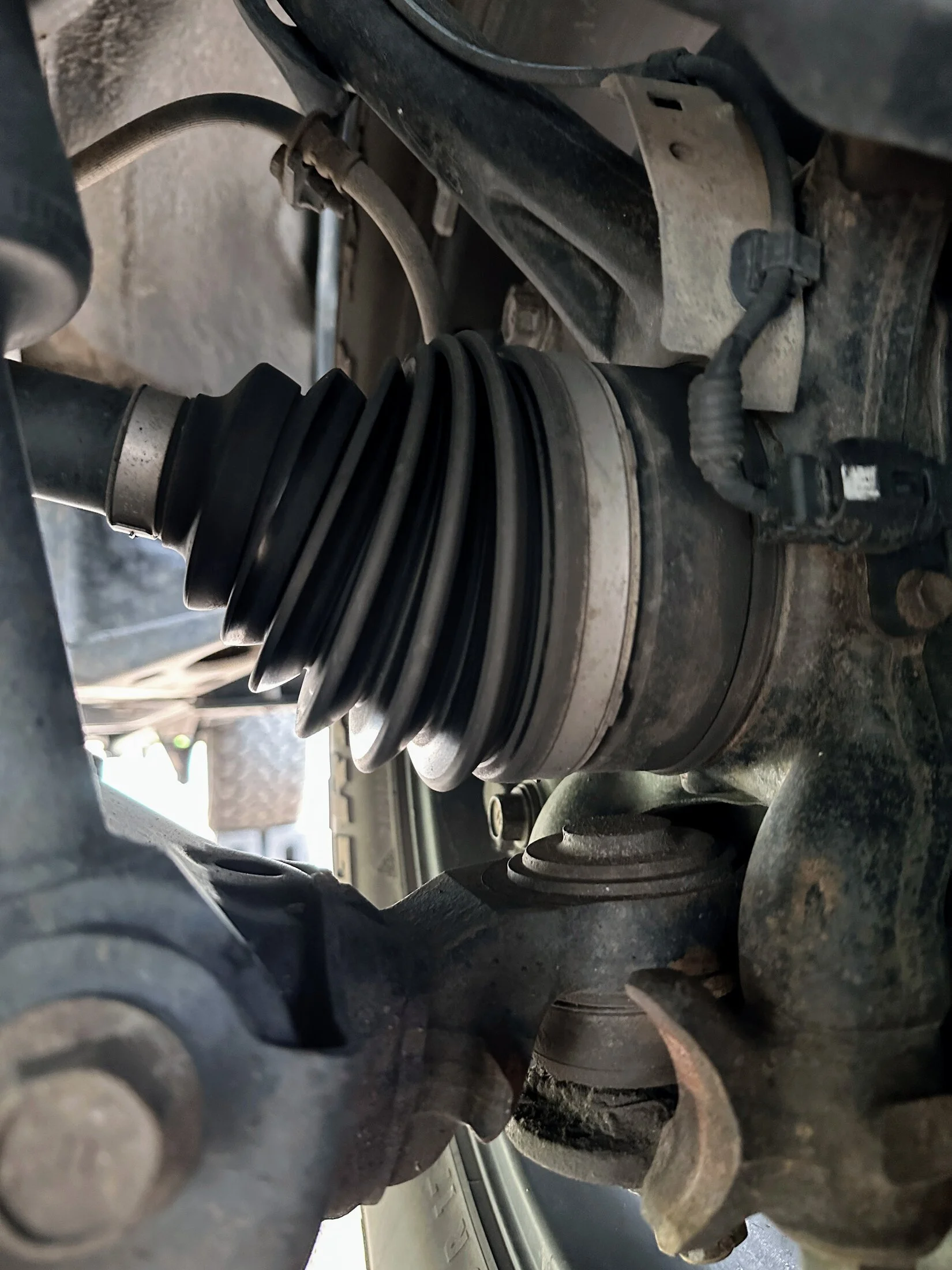 Underbody04.webp