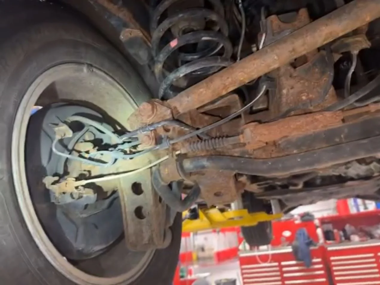 Undercarriage 1.webp