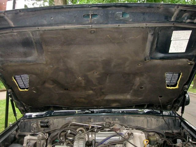 UNDERSIDE 1.webp