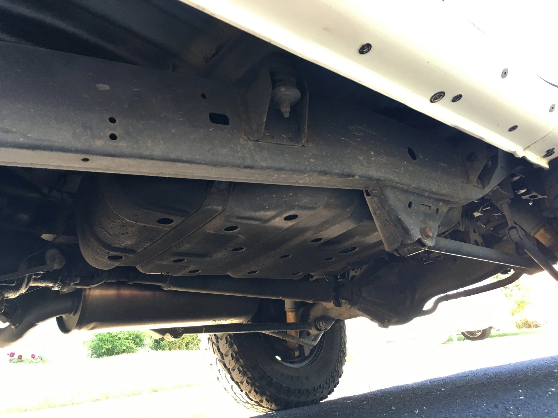 Underside 2.webp