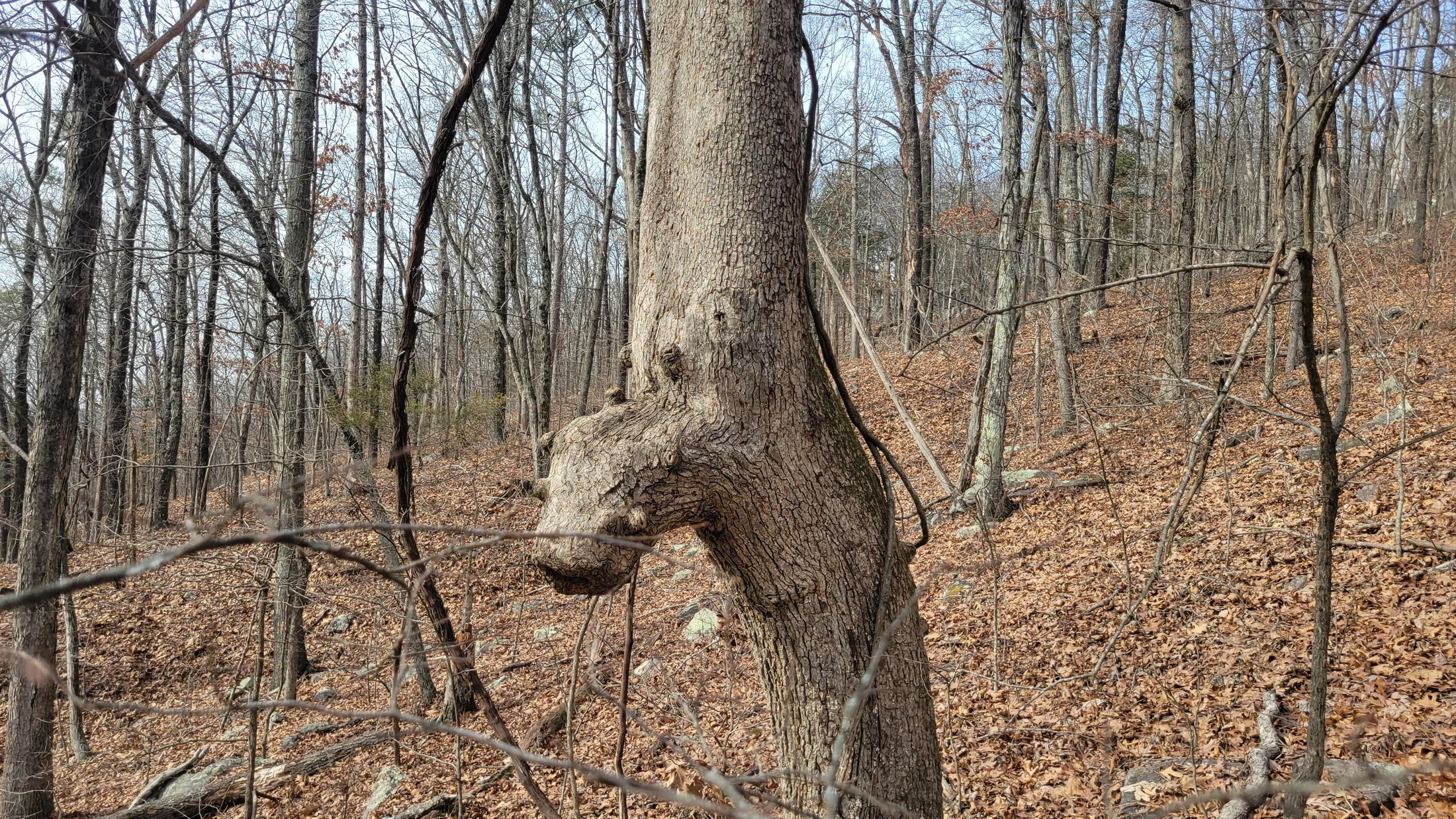 unnamed.jpg