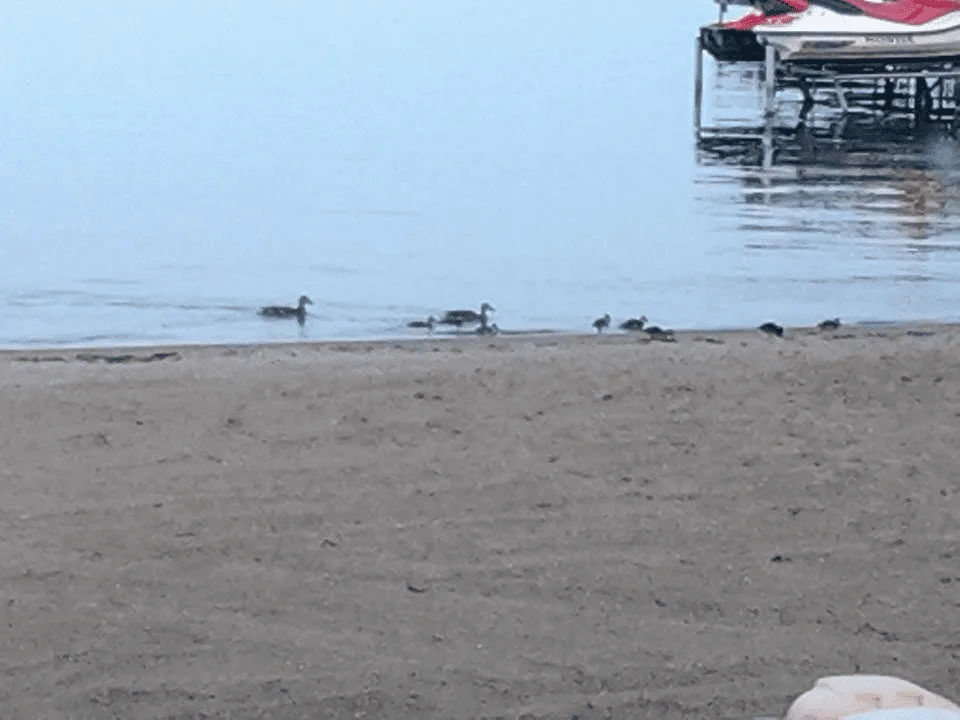 untitled.webp