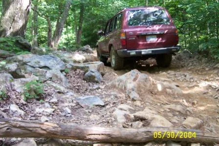 Uwharrie 3.webp