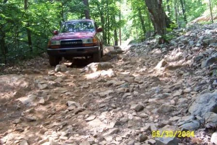 Uwharrie 4.webp