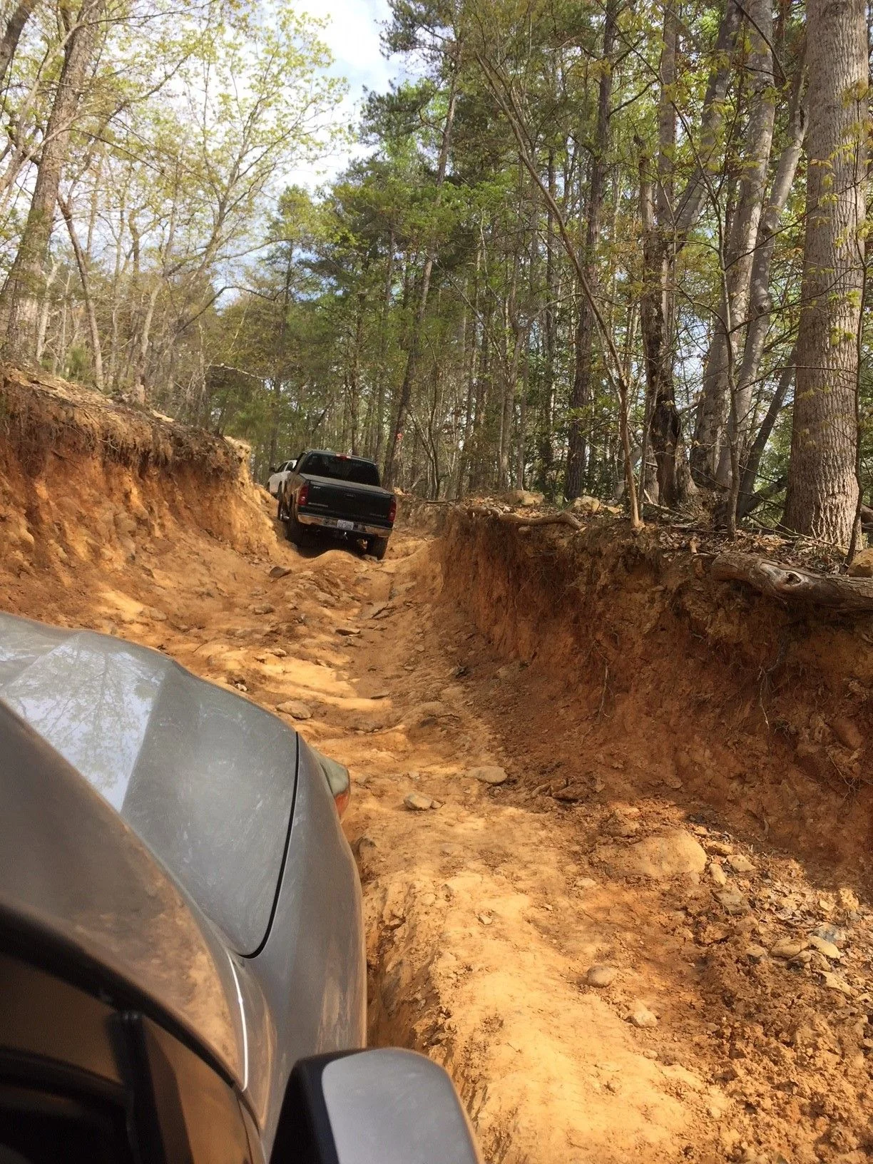 Uwharrie 418 1.webp