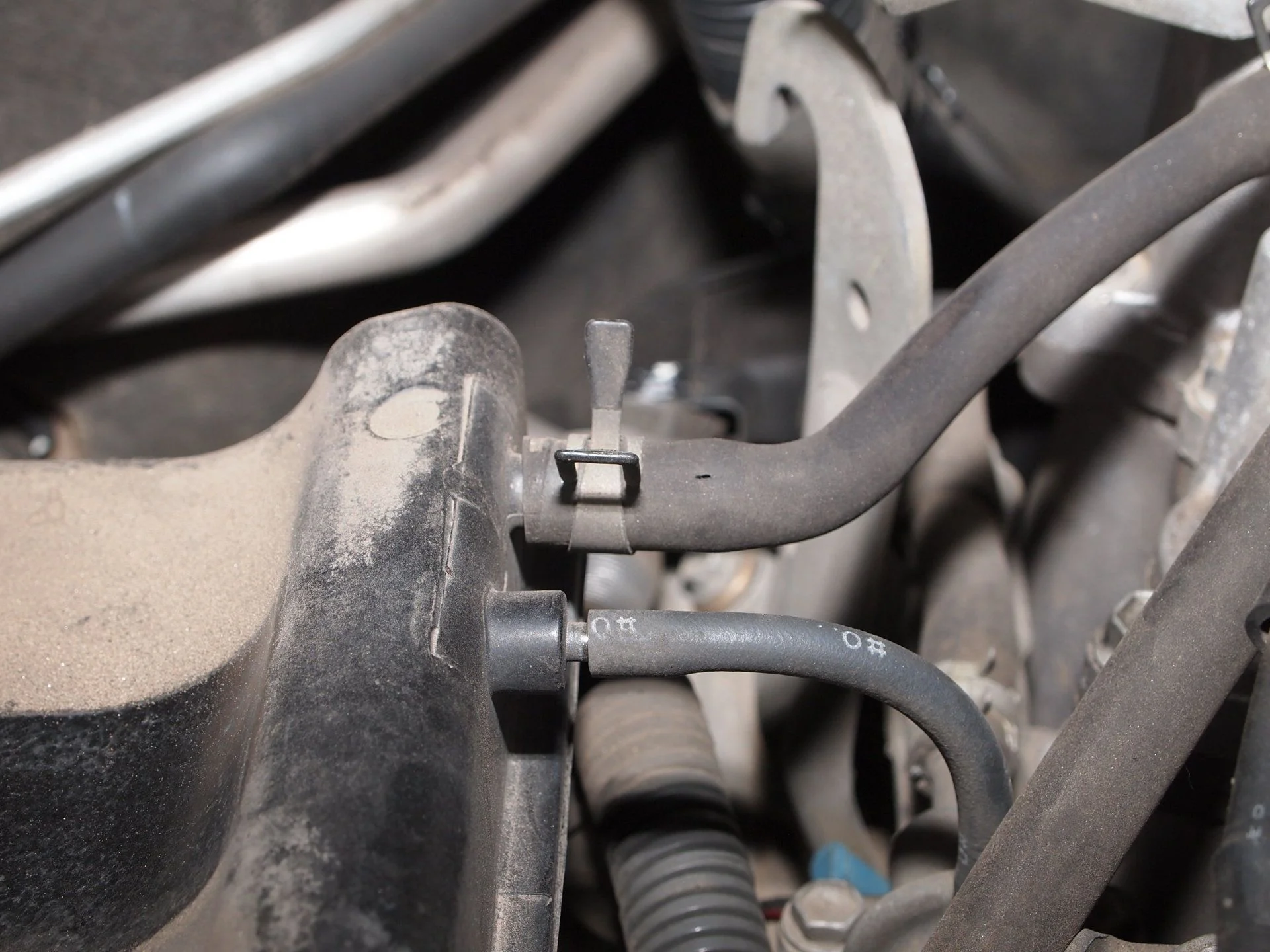 Vacuum lines (1).webp