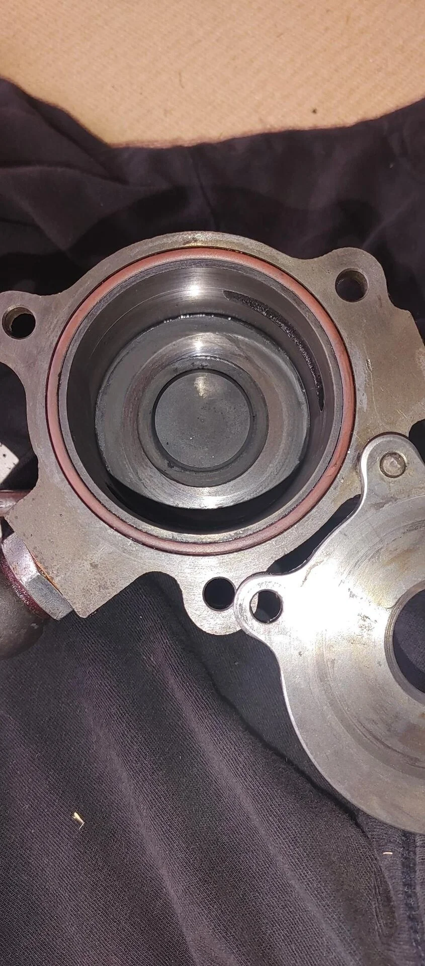 vacuumwear.webp