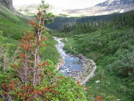 valley bottom.webp