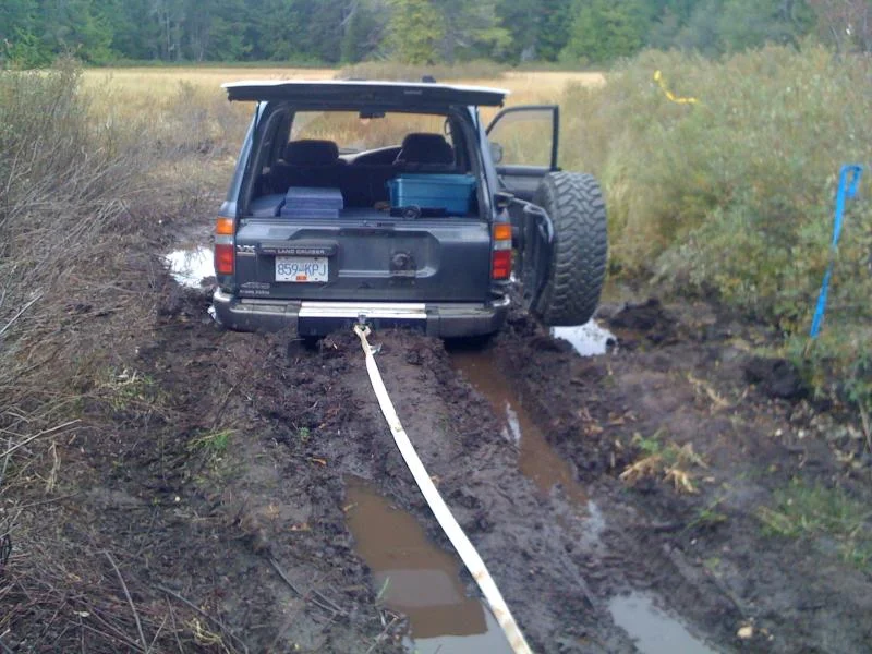 very muddy.webp