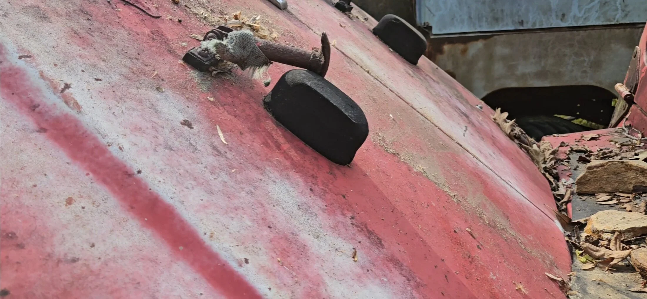 VideoCapture_20241014-080327.webp