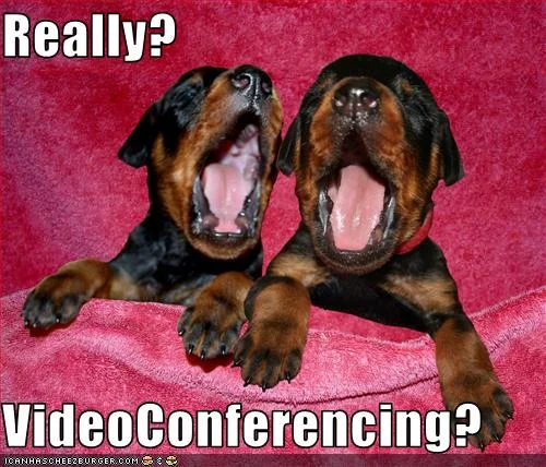 videoconfdobepups.webp