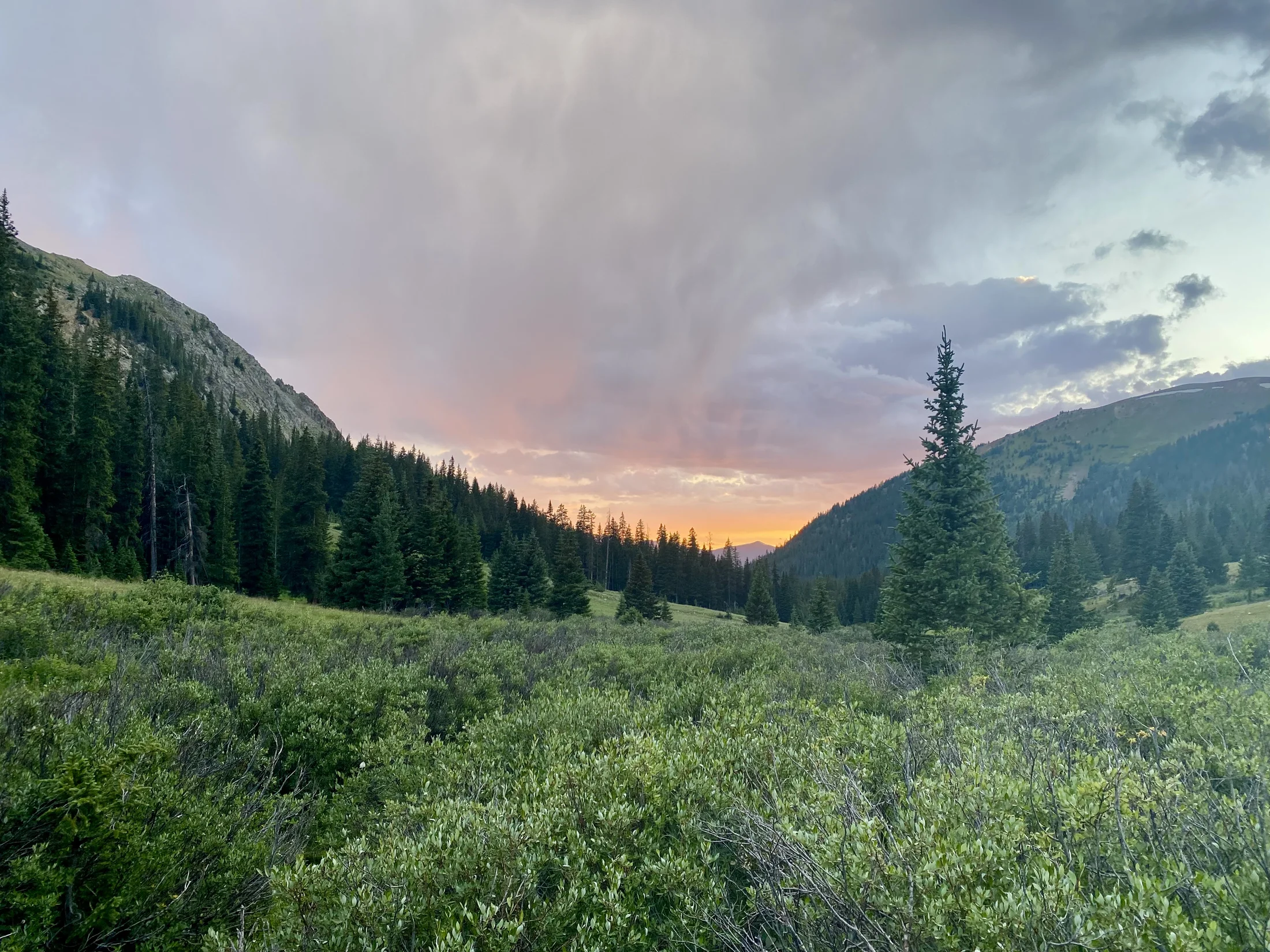 View from Camp.webp