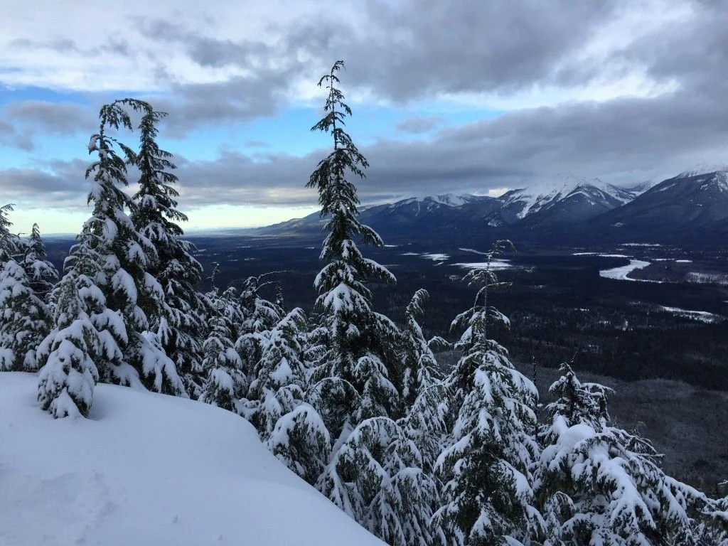 View point (Medium).webp