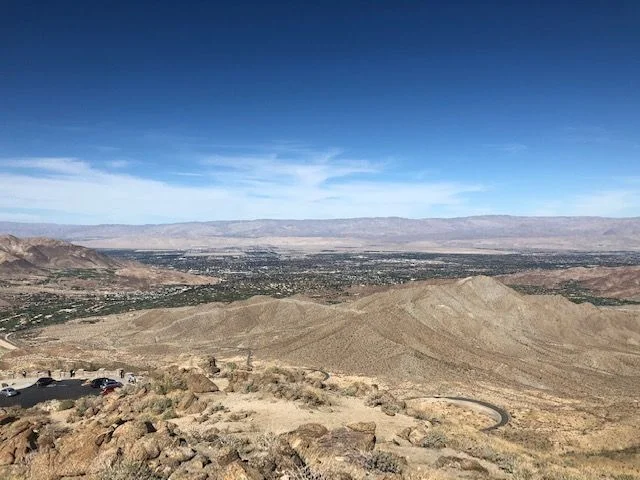 view.webp