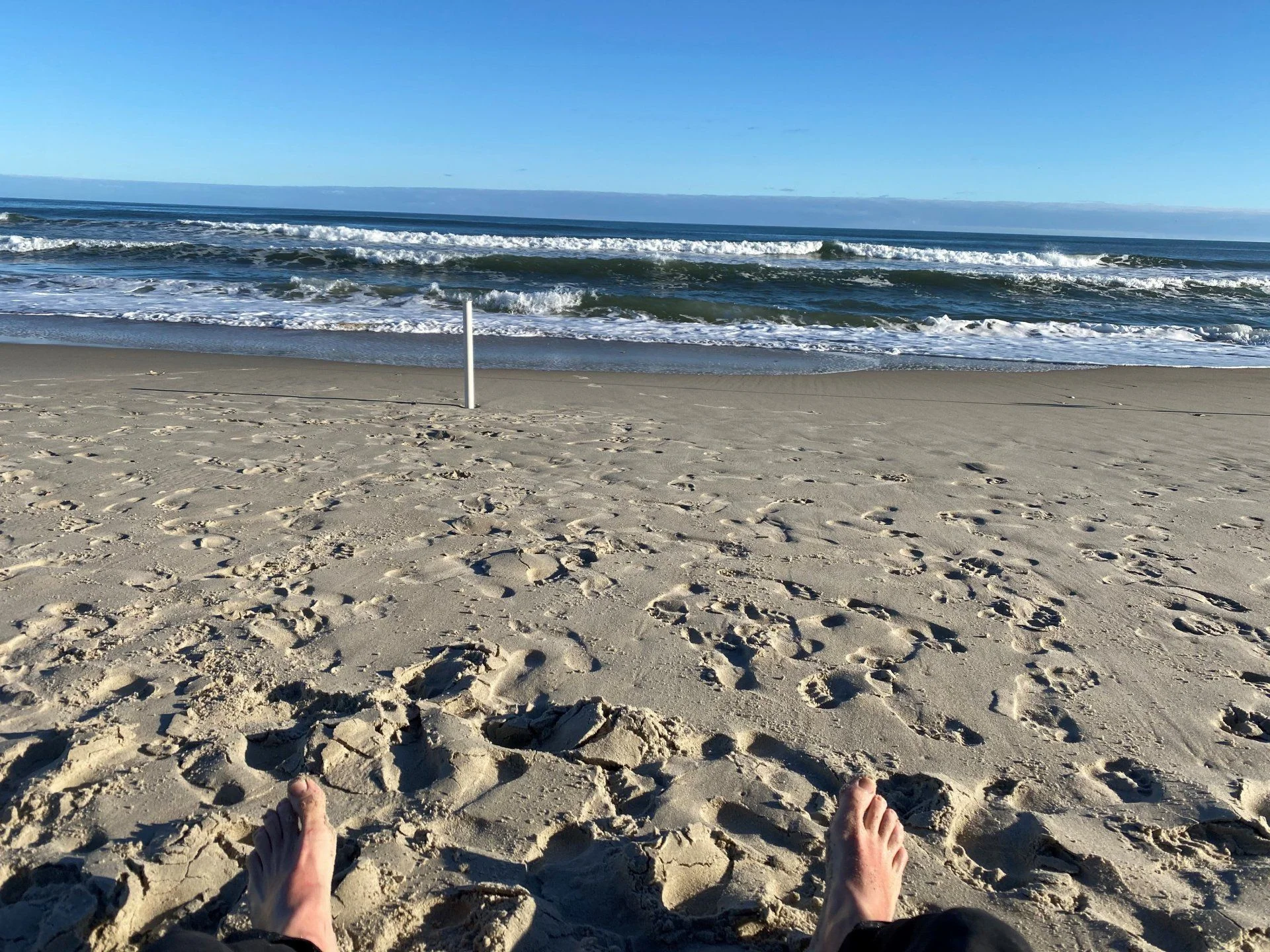 View.webp