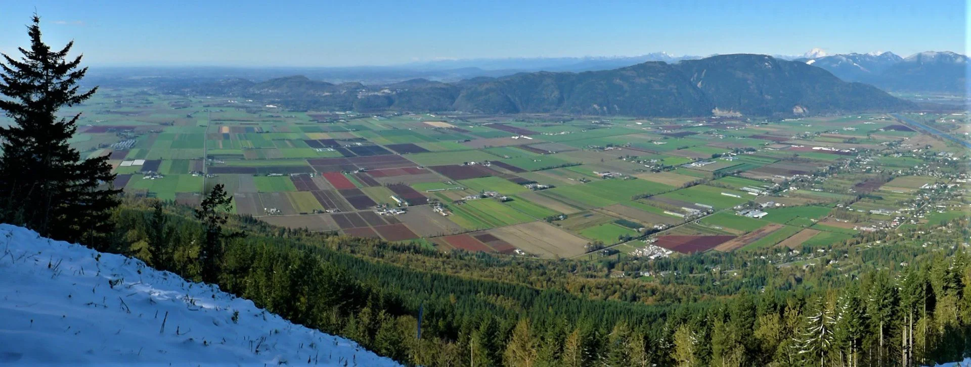viewpoint.webp
