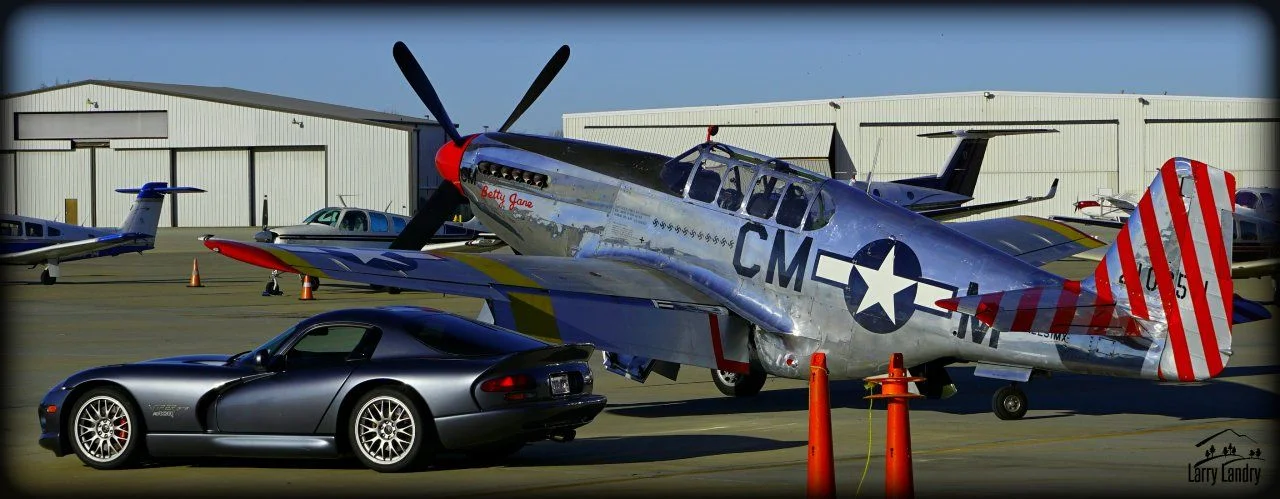 Viper with the P51.webp