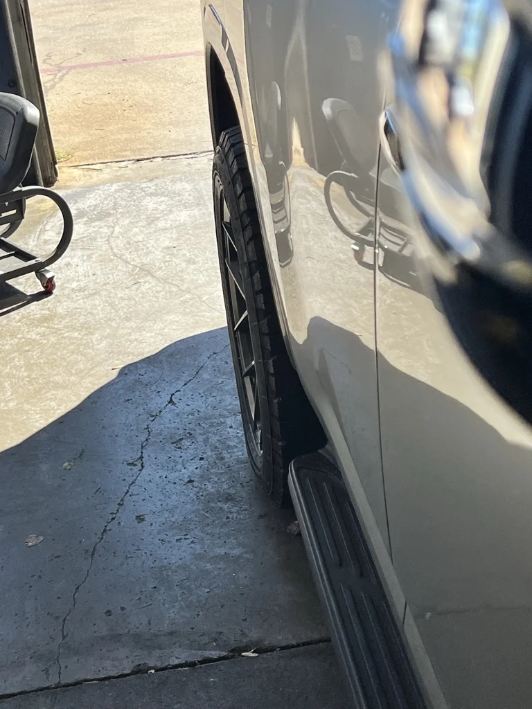 Vossen Back.webp