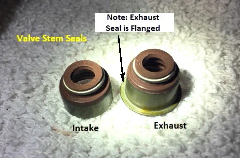 VS Seals1.jpg
