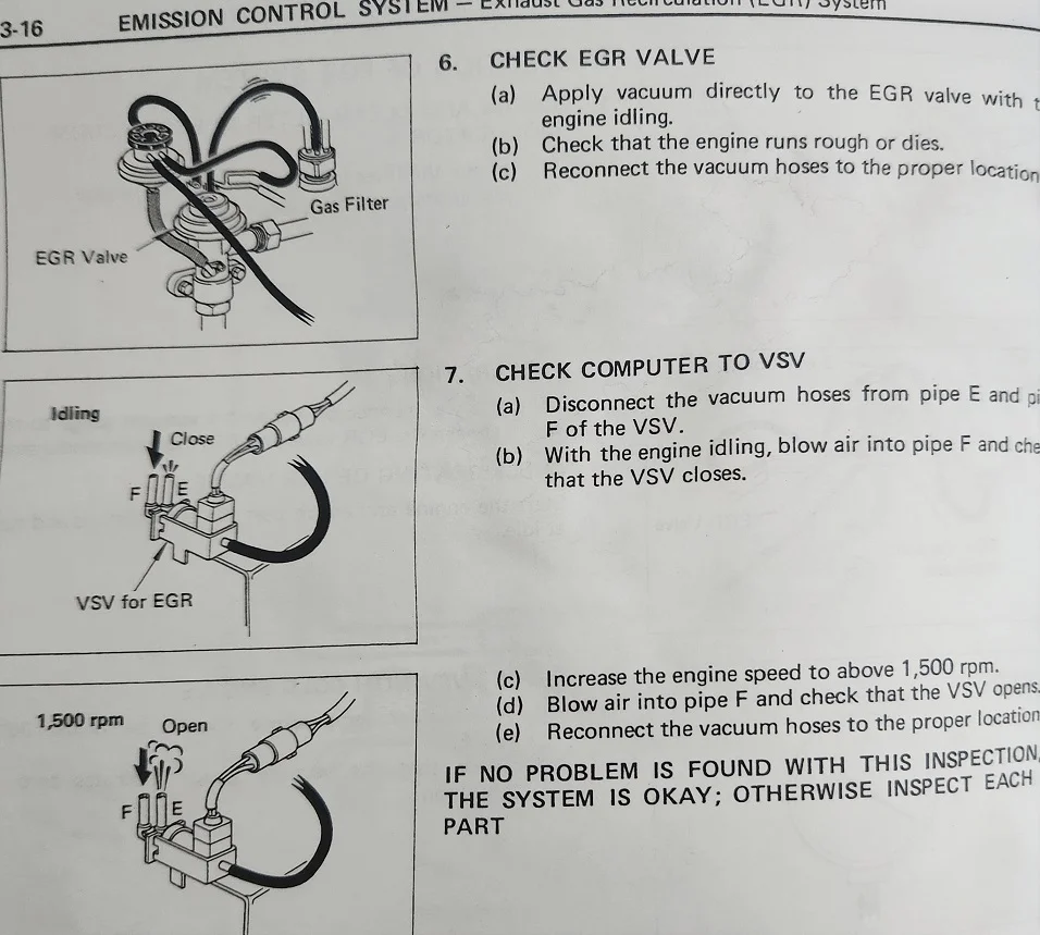 vsv.webp