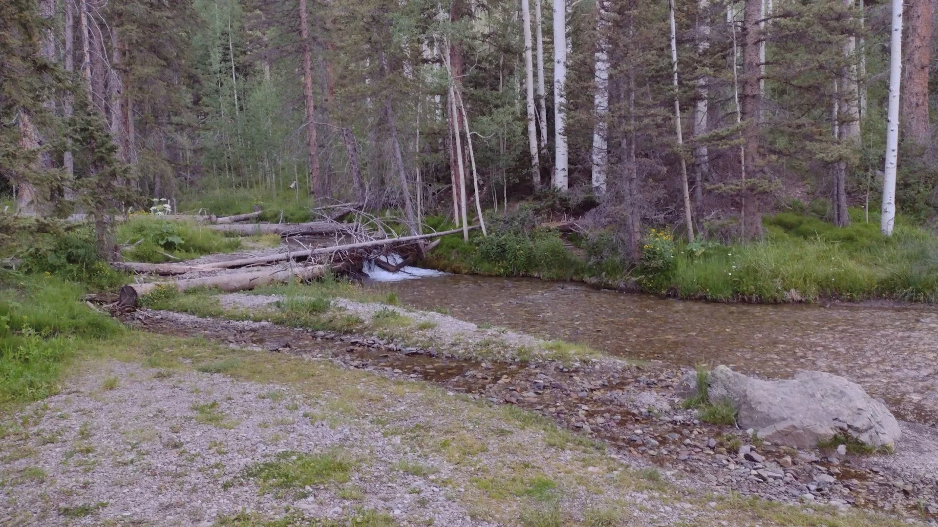 w_dallas_campsite.webp