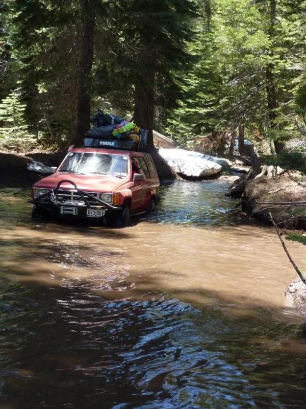 wagon3.webp