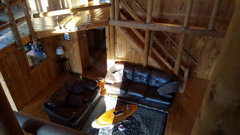 waldsbug living room.webp
