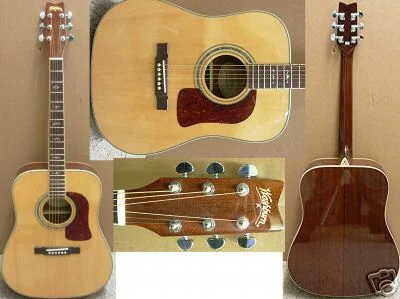 washburn d121s.webp