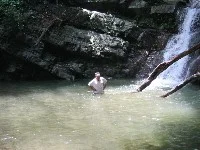 waterfall 1.webp