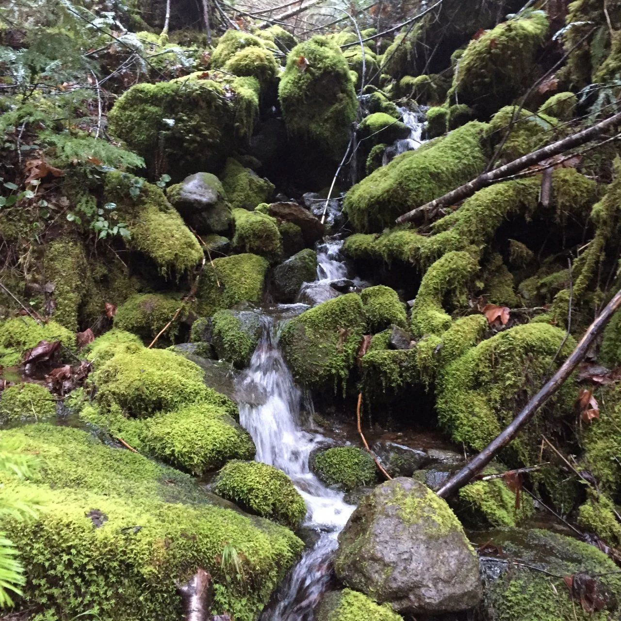 Waterfall.webp