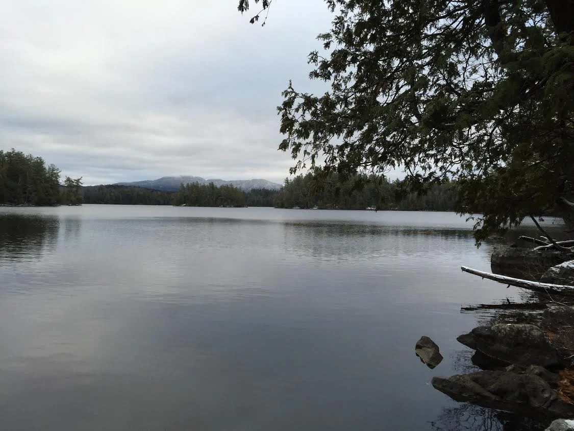 weller pond.webp