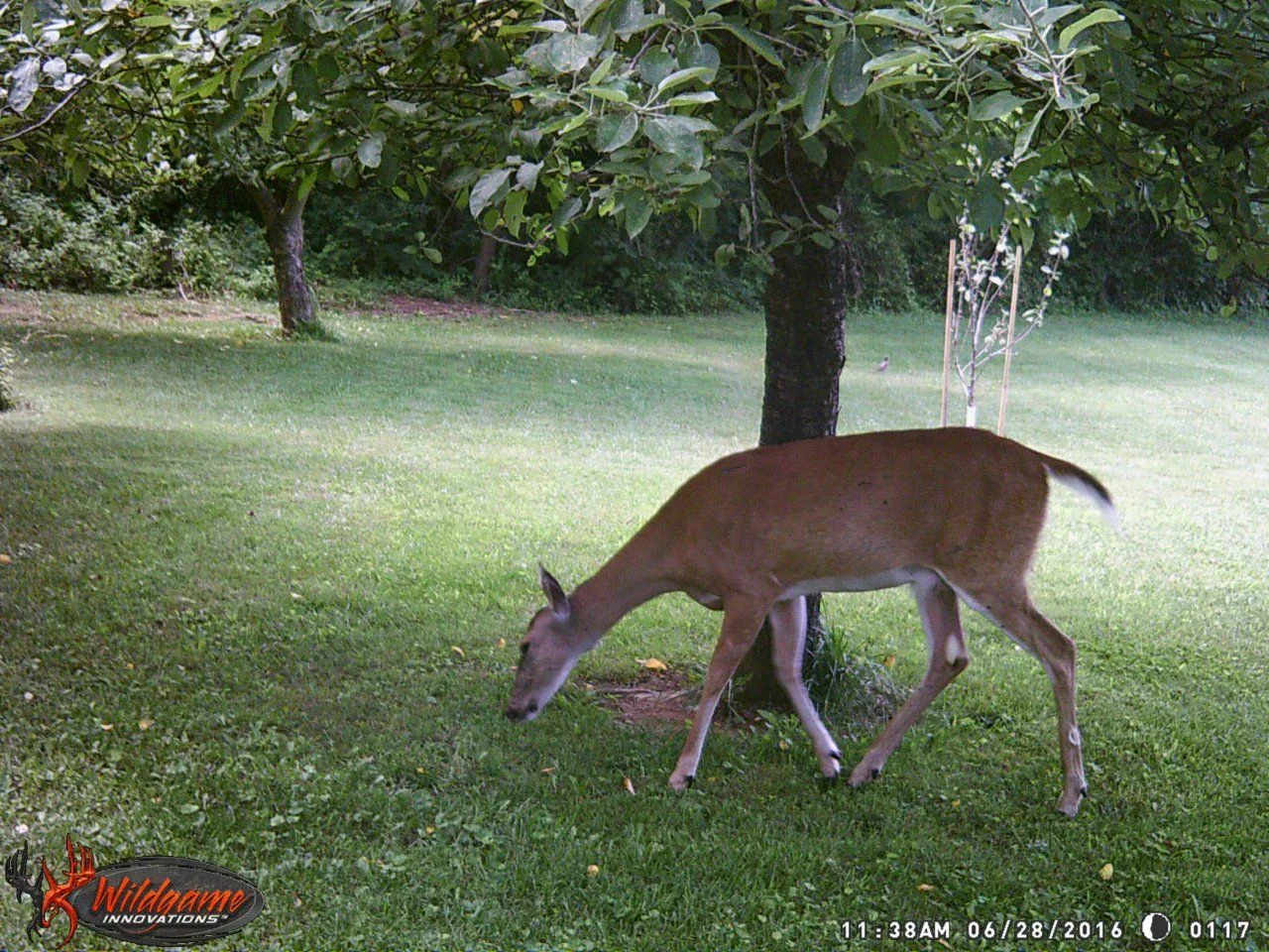 WGI_0117.webp