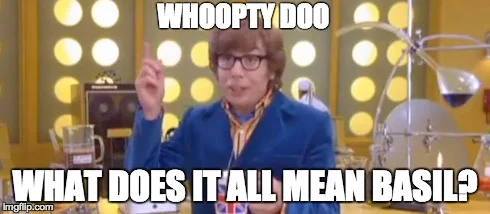 What Does it all mean.webp