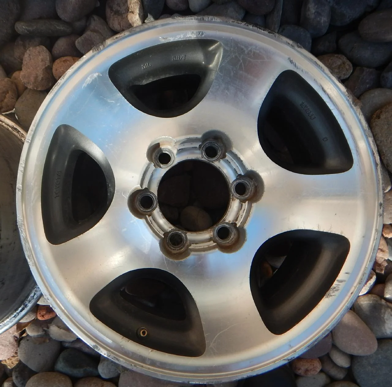 wheel 1.webp
