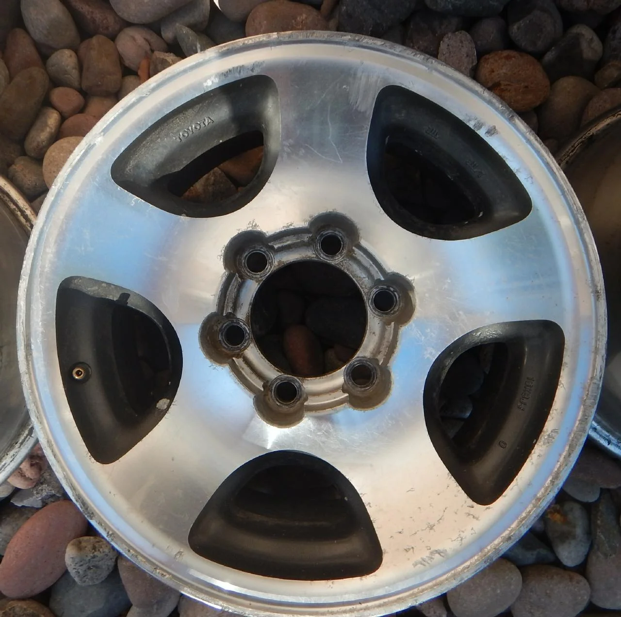 wheel 2.webp