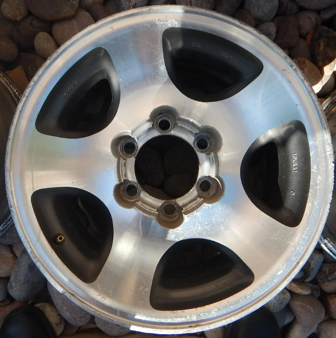 wheel 3.webp