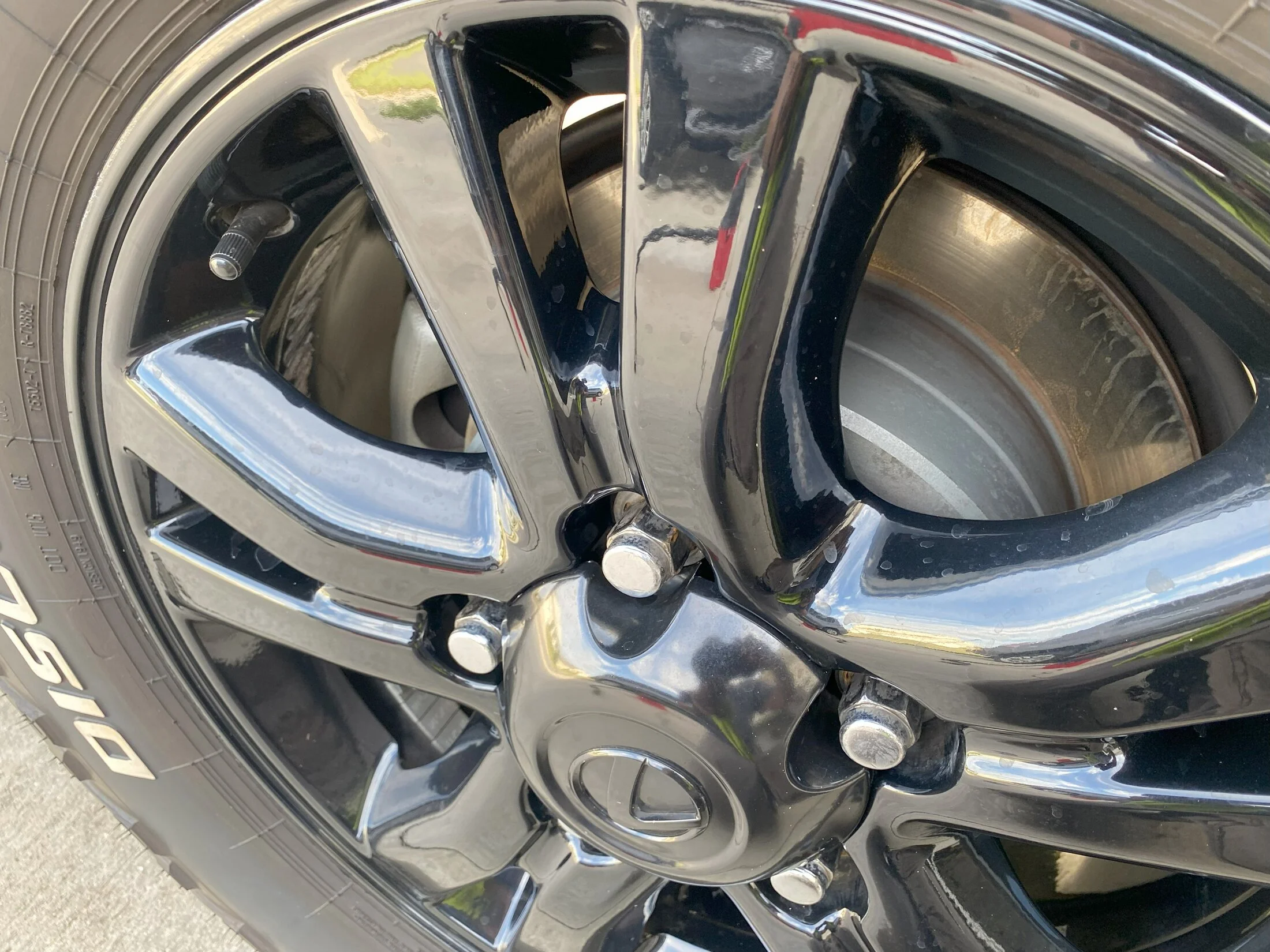 Wheel 4.webp