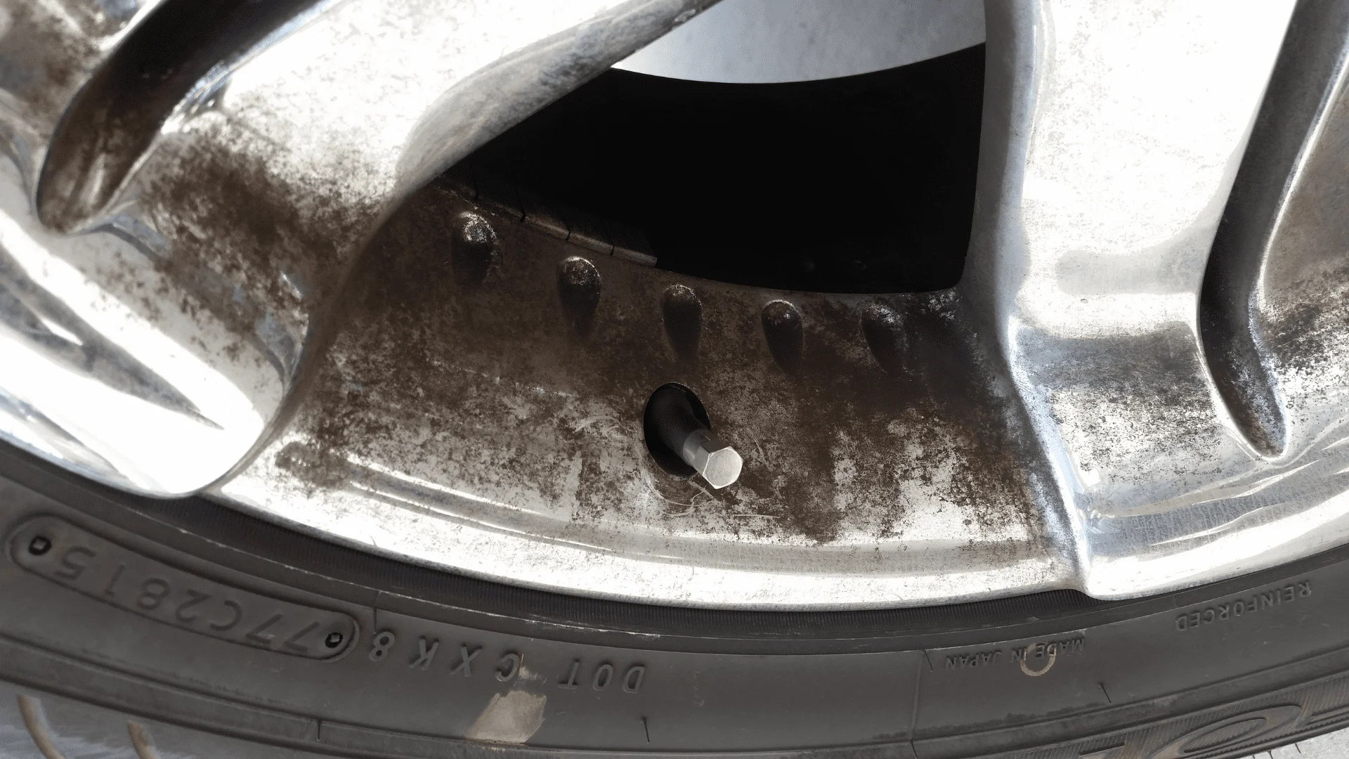 Wheel1.webp