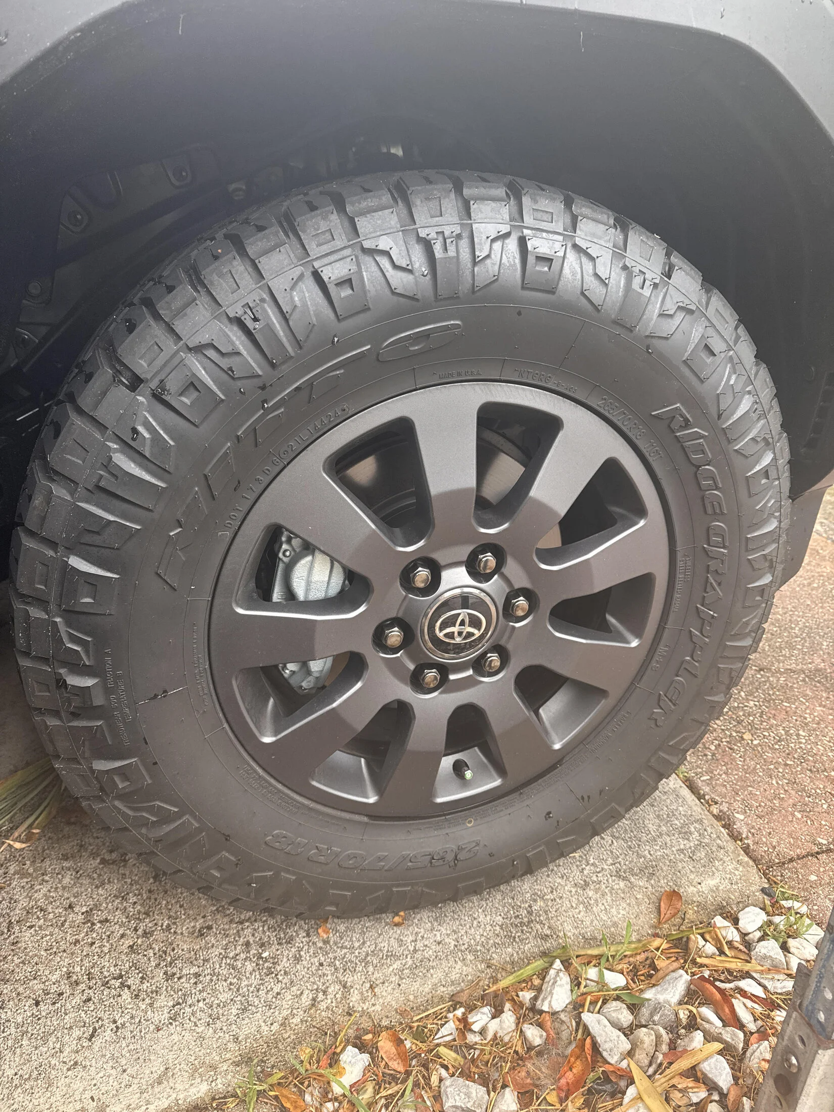wheel1.webp