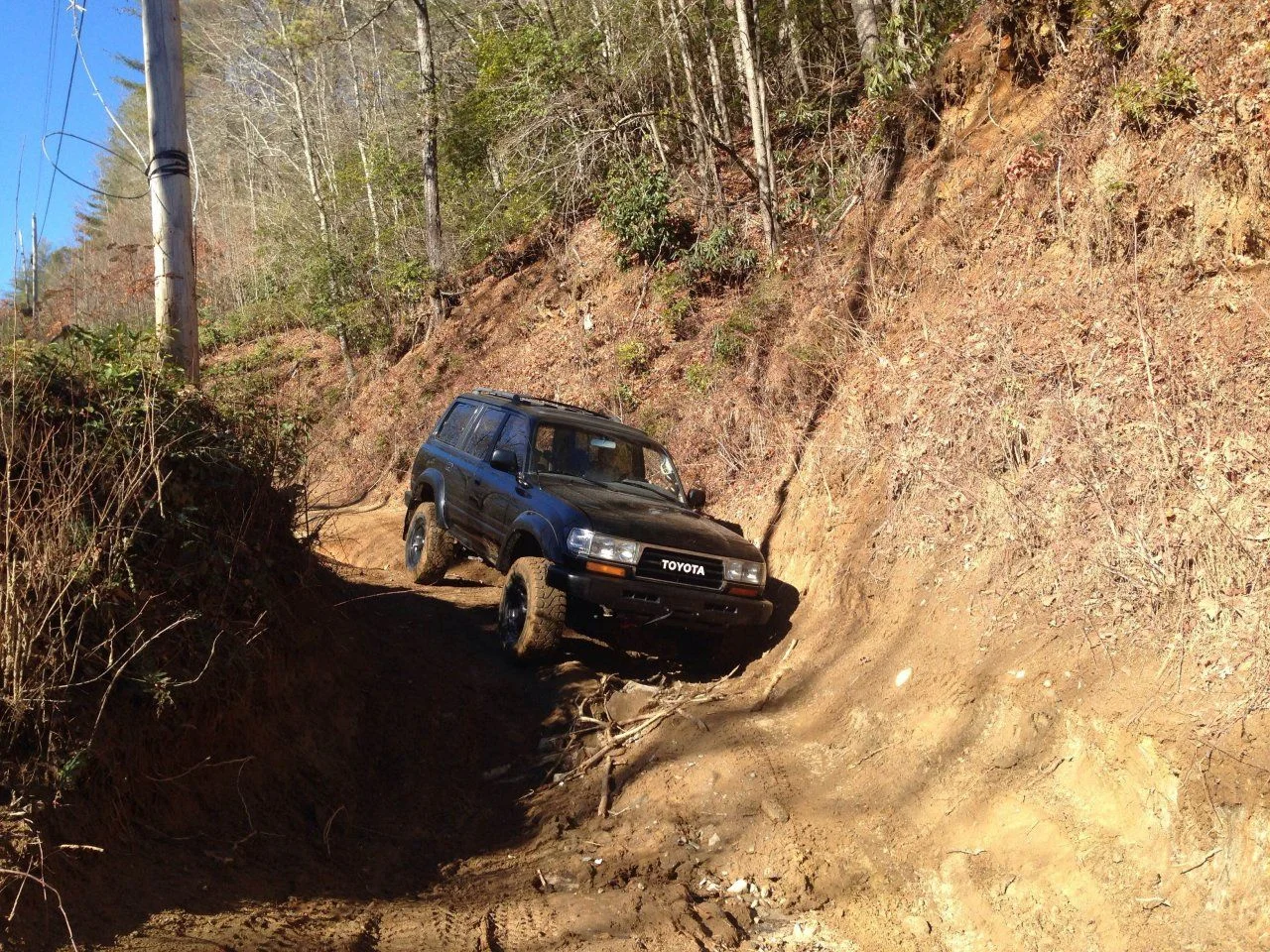wheelin.webp