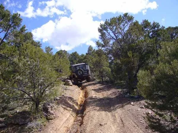 Wheel'n pic 1 4-29-06.webp