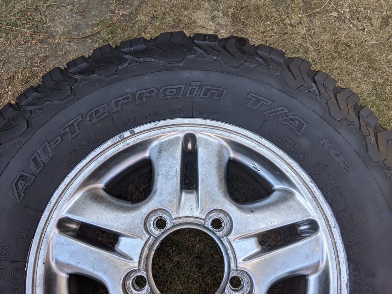 wheels 3.webp