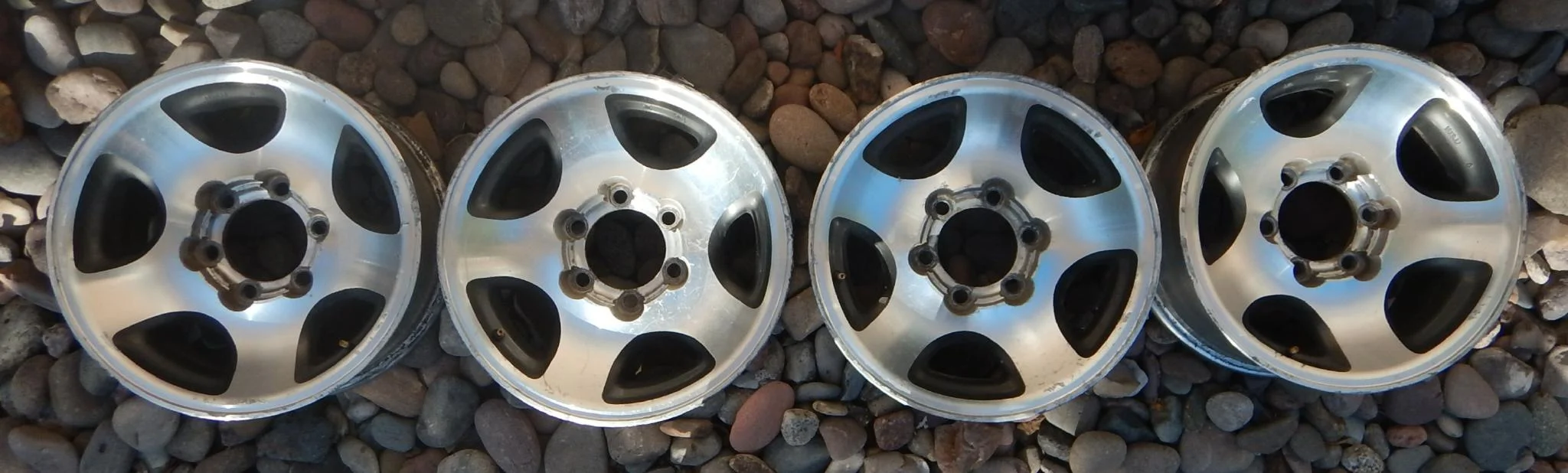 wheels all.webp